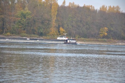 Photos 101031 190.jpga.jpg (184.59 Kio) Vu 1562 fois Photos 101031 190.jpga.jpg