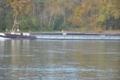 Photos 101031 194.jpga.jpg (173.69 Kio) Vu 1562 fois Photos 101031 194.jpga.jpg