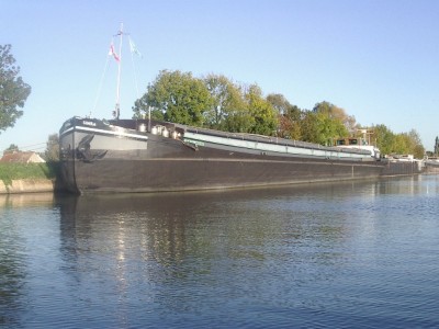 IMGP3888 [].JPG