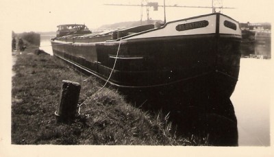 Copie de Albatros.jpg (80.2 Kio) Vu 8920 fois Copie de Albatros.jpg