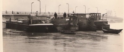 Copie de Albatros 001.jpg (63.95 Kio) Vu 8920 fois Copie de Albatros 001.jpg