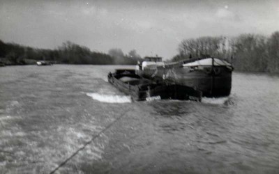 ferry-boat et nenuphar .jpg