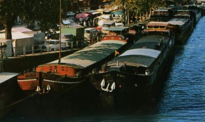 thuin-alena max+x-extCP-mario-5089.jpg (112.71 Kio) Vu 3758 fois thuin-alena max+x-extCP-mario-5089.jpg