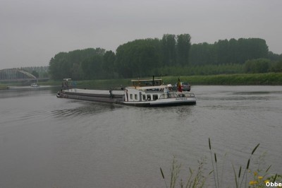 Pantheras 08_1.JPG (47.65 Kio) Vu 8394 fois Pantheras 08_1.JPG