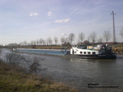 CIMG7104.JPG