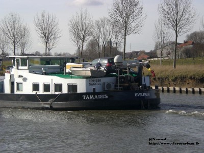 CIMG7106.JPG