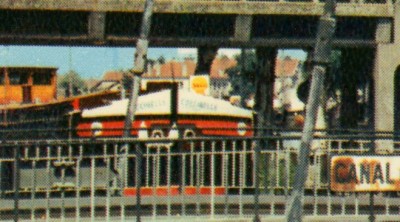 COCCOINELLE.jpg