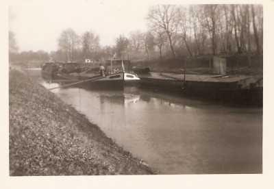 Albatos.jpg (98.6 Kio) Vu 8834 fois Albatos.jpg