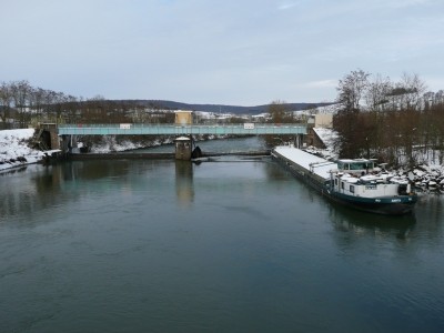 P1050571 [vagus].JPG