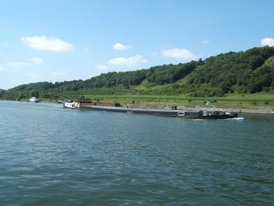 2007_0804x20009.JPG (155.98 Kio) Vu 2459 fois 2007_0804x20009.JPG