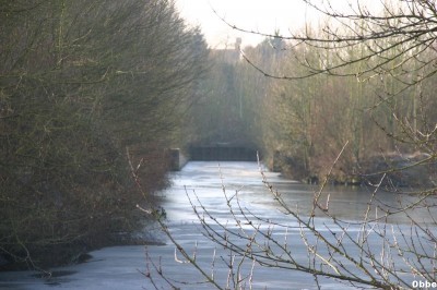 IMG_1989_1.JPG (91.36 Kio) Vu 2321 fois IMG_1989_1.JPG