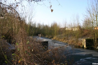 IMG_1970_1.JPG (121.06 Kio) Vu 2314 fois IMG_1970_1.JPG