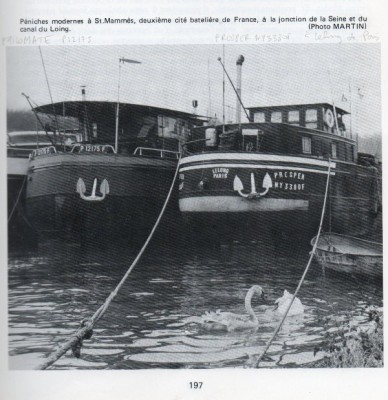 MR-philomate+prosper.jpg (98.4 Kio) Vu 3020 fois MR-philomate+prosper.jpg