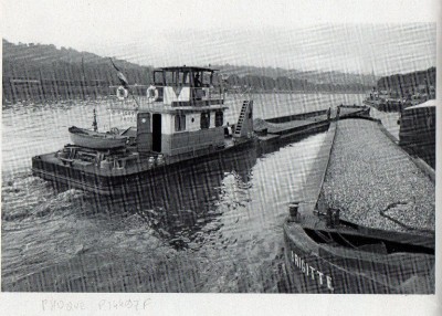 BT664-phoque.jpg (185.41 Kio) Vu 5966 fois BT664-phoque.jpg