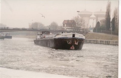 Python.JPG (81.31 Kio) Vu 2891 fois Python.JPG