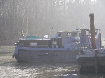 2011_01292010_12050015.JPG