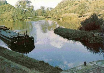 NELLY.jpg (62.38 Kio) Vu 7406 fois NELLY.jpg