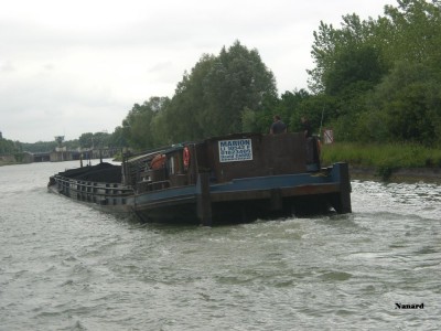 CIMG5383.JPG