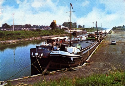 BONANZA.jpg (494.26 Kio) Vu 2021 fois BONANZA.jpg