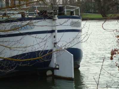 041.JPG (173.63 Kio) Vu 3945 fois 041.JPG