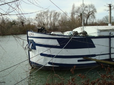 042.JPG (182.5 Kio) Vu 3945 fois 042.JPG