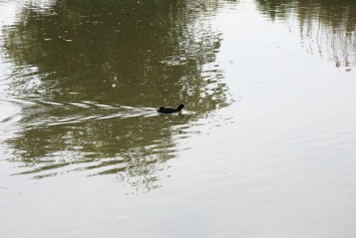 IMG_4191.JPG (189.28 Kio) Vu 2005 fois IMG_4191.JPG