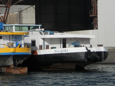 CALICOBA_Arr.jpg