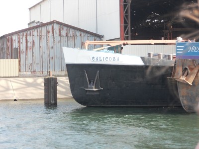 CALICOBA_Avt.jpg