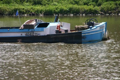 IMG_6976_1.JPG