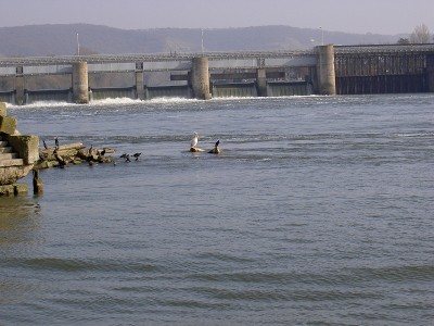 004.JPG (210.88 Kio) Vu 7498 fois 004.JPG