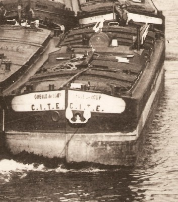 Argenteuil - L'île vue du pont neuf - GUEULE DE LOUP [vagus].jpg