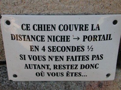 Course_du_chien.JPG