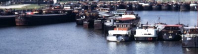 img614.jpg