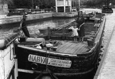 narval sauvestre .jpg (78.69 Kio) Vu 55757 fois narval sauvestre .jpg