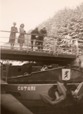 CATARI - Montargis [vagus].jpg