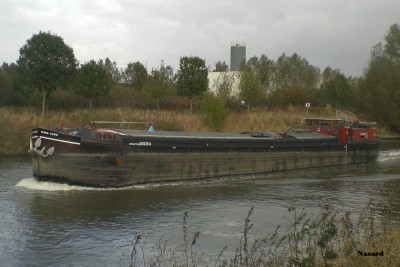 CIMG6217.JPG