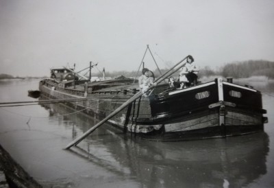 MEMO0048TINOMER.jpg (88.77 Kio) Vu 5204 fois MEMO0048TINOMER.jpg