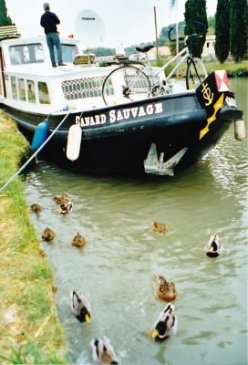 Sans titre 2 (543x800).jpg (337.32 Kio) Vu 1803 fois Sans titre 2 (543x800).jpg