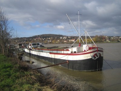 marguerite-av.JPG
