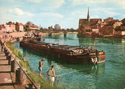 sens-hanneton-CP-cim-891963b.jpg