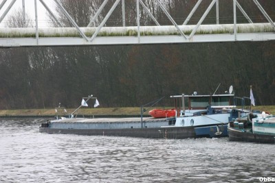 Lyp.Ver Cygne 04.JPG