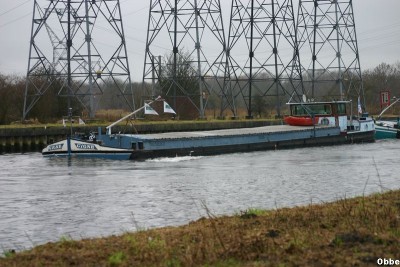 Lyp.Ver Cygne 02.JPG