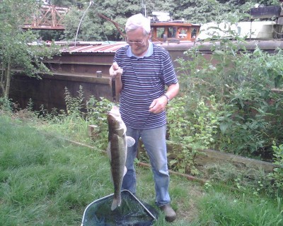 le sandre de papa 2 (800x640).jpg (466.6 Kio) Vu 5324 fois le sandre de papa 2 (800x640).jpg