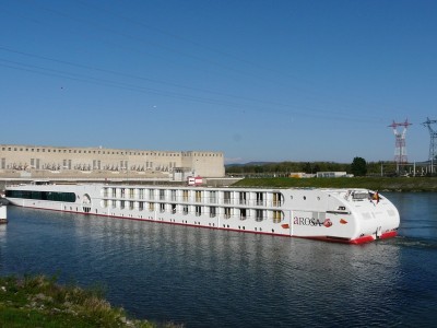 a rosa luna-ar.JPG
