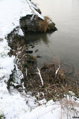 IMG_9237.jpg (110.08 Kio) Vu 5253 fois IMG_9237.jpg