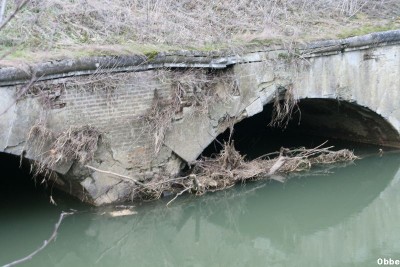 20100214 186.jpg