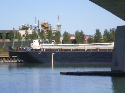 IMGP4871 [800x600].JPG