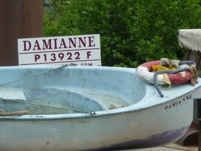 P1120443DAMIANNE.jpg