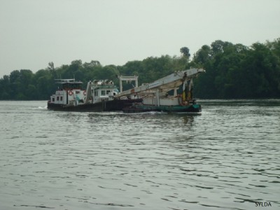 DSC02959.JPG (130.45 Kio) Vu 3808 fois DSC02959.JPG