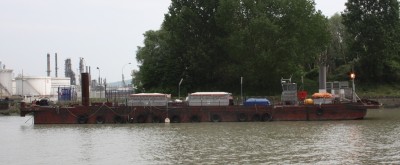 IMG_1311.jpg